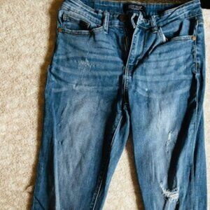 Judy Blue's Straight Leg Jeans